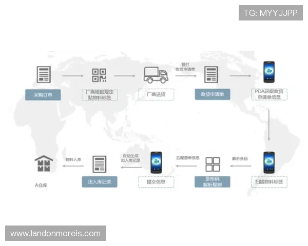 万博网络官网登录流程详解及常见问题解决方案全攻略