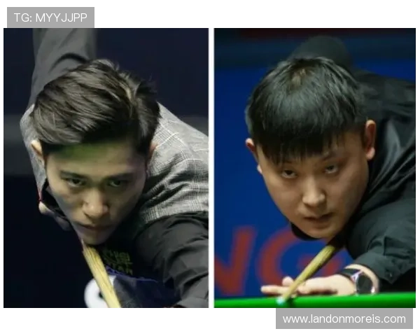 如何通过法律途径应对斯诺克赌球案带来的法律风险，提供实用的法律咨询与维权建议